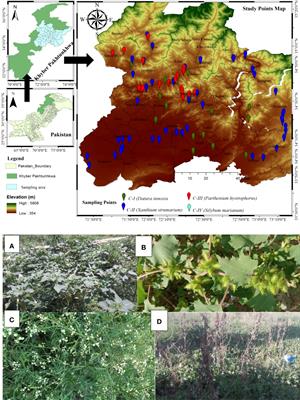 Spatial distribution of the four invasive plants and their impact on natural communities’ dynamics across the arid and semi-arid environments in northwest Pakistan